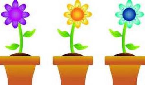 First Day Of Spring Clipart 