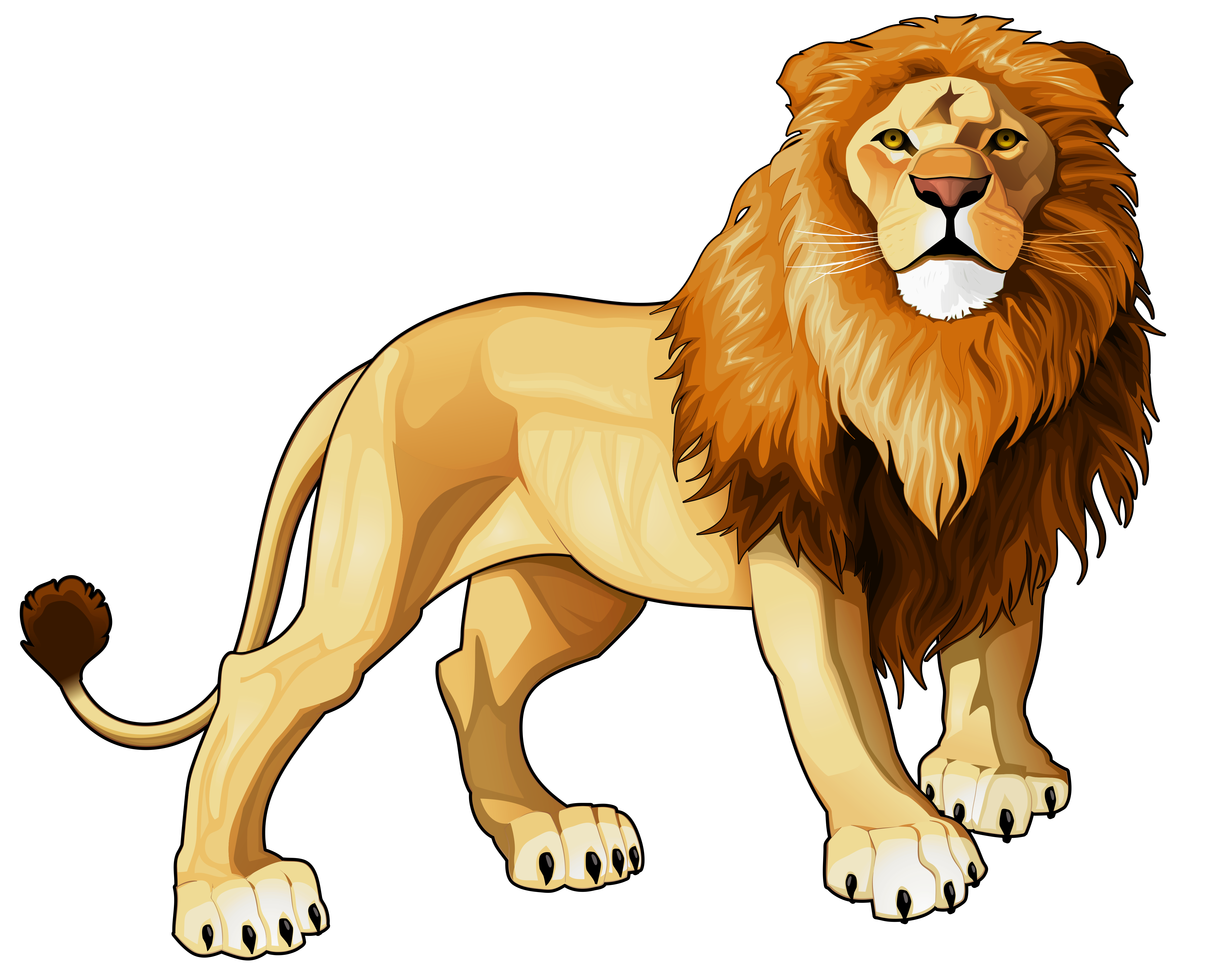 free lion clip art graphics