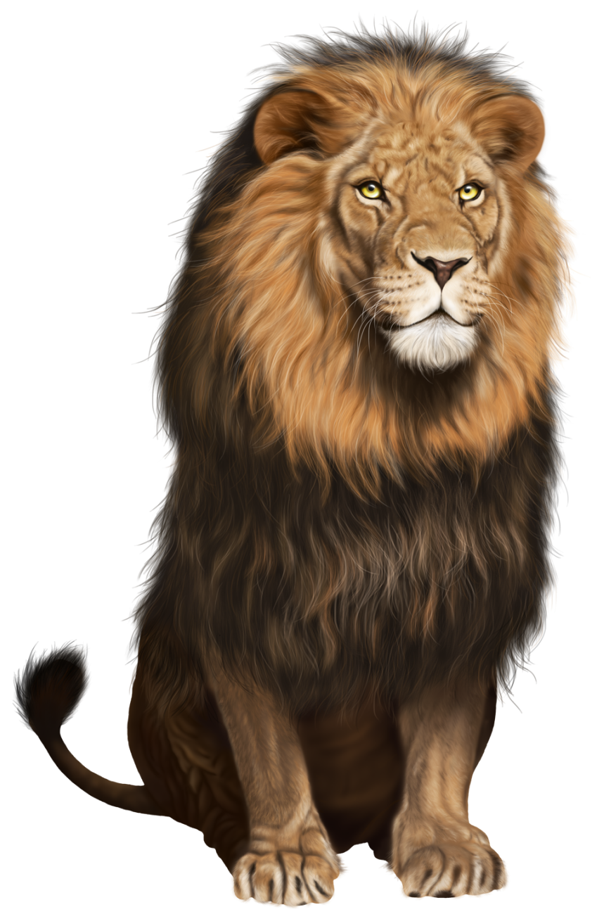 Lion Transparent PNG Clip Art Image 