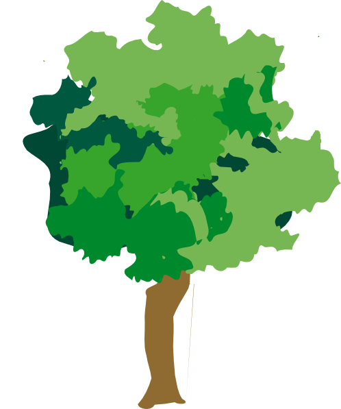 Rainforest Plant And Tree Clipart 