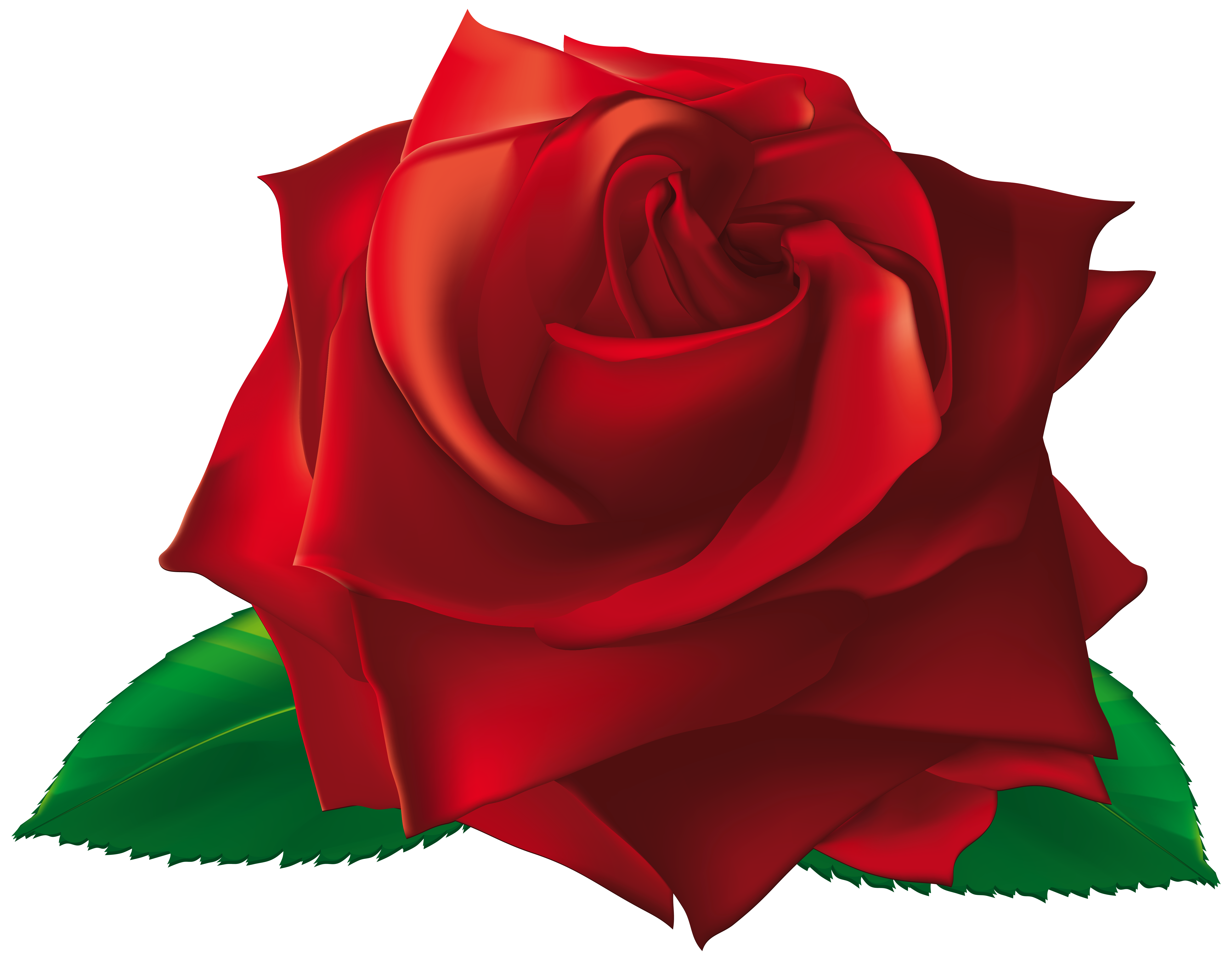 Red Single Rose PNG Clipart Image 