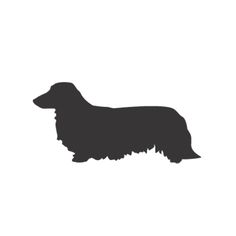 long haired dachshund clipart 