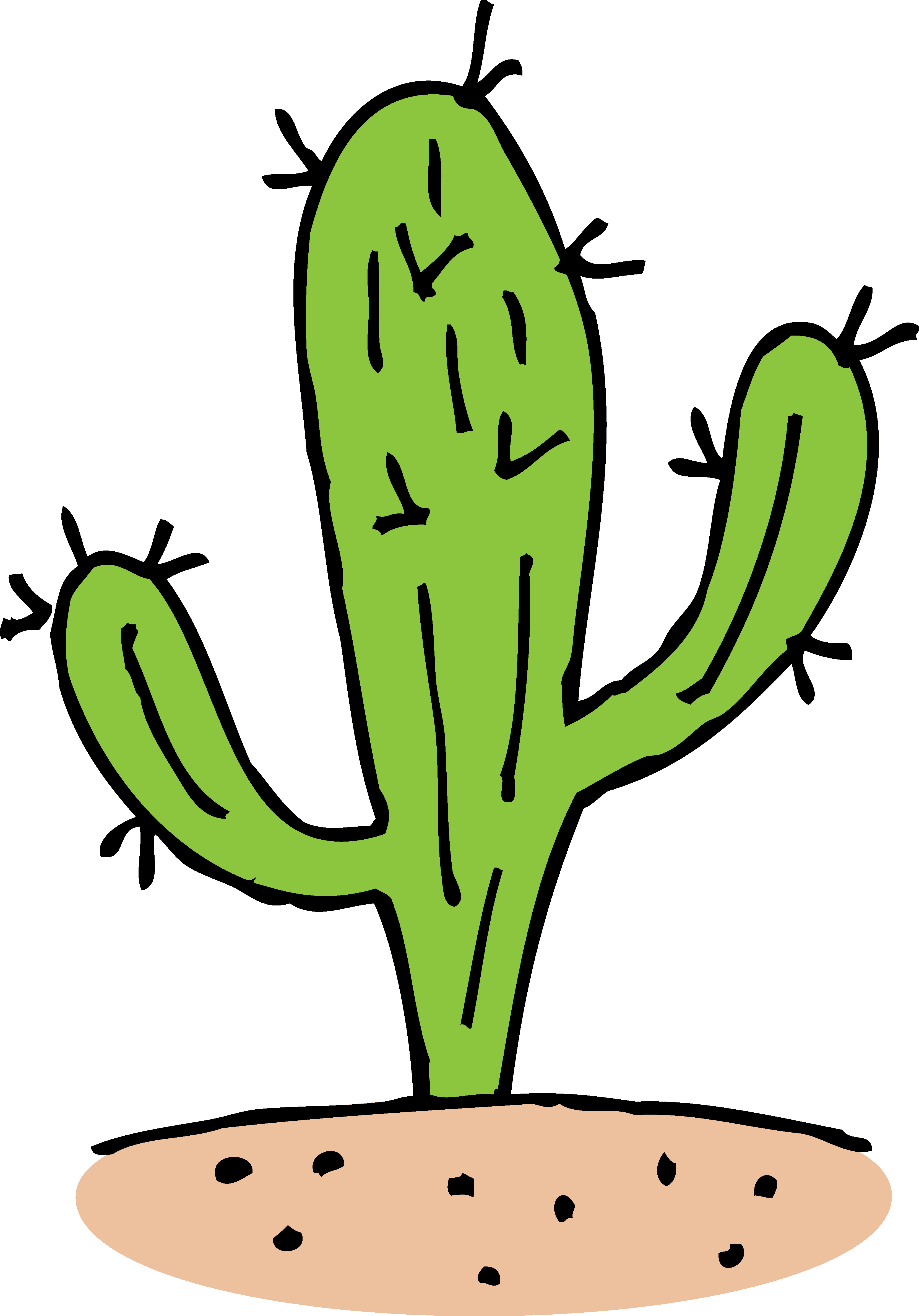 Cactus Image Free 