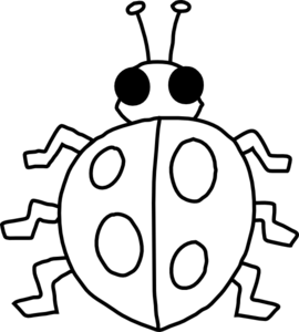 Insect Clipart Black And White 