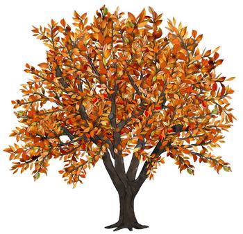 fall tree clip art