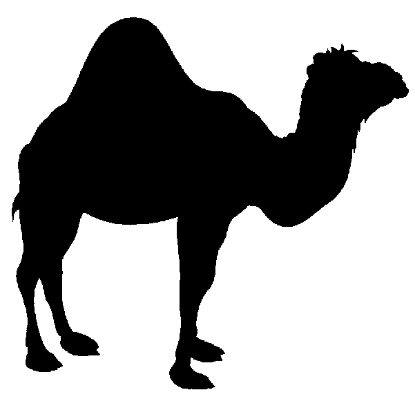 CAMELS 