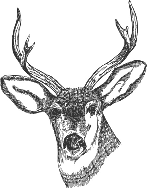 Deer Head clip art Free vector in Open office drawing svg 