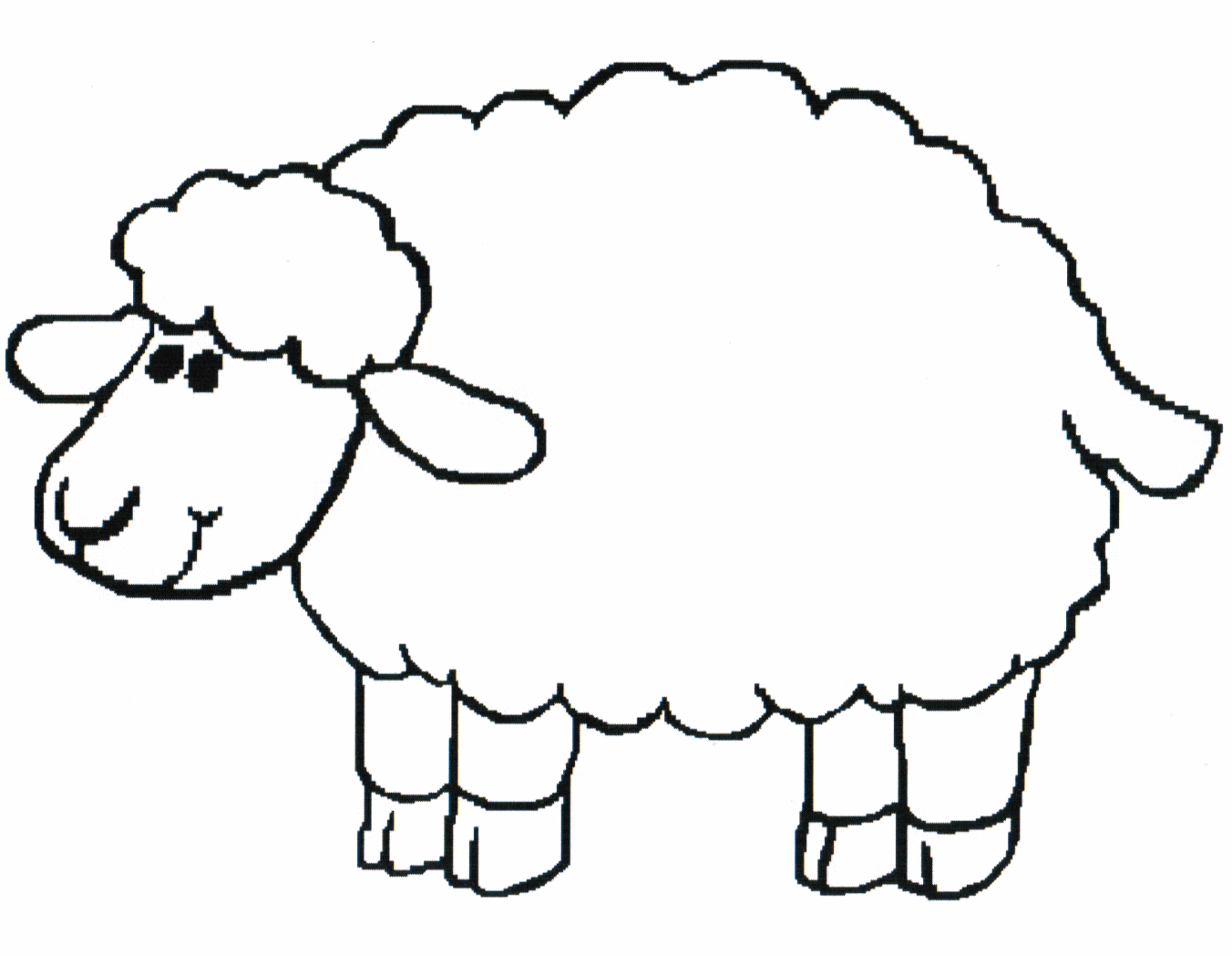 Sheep Pictures For Kids 