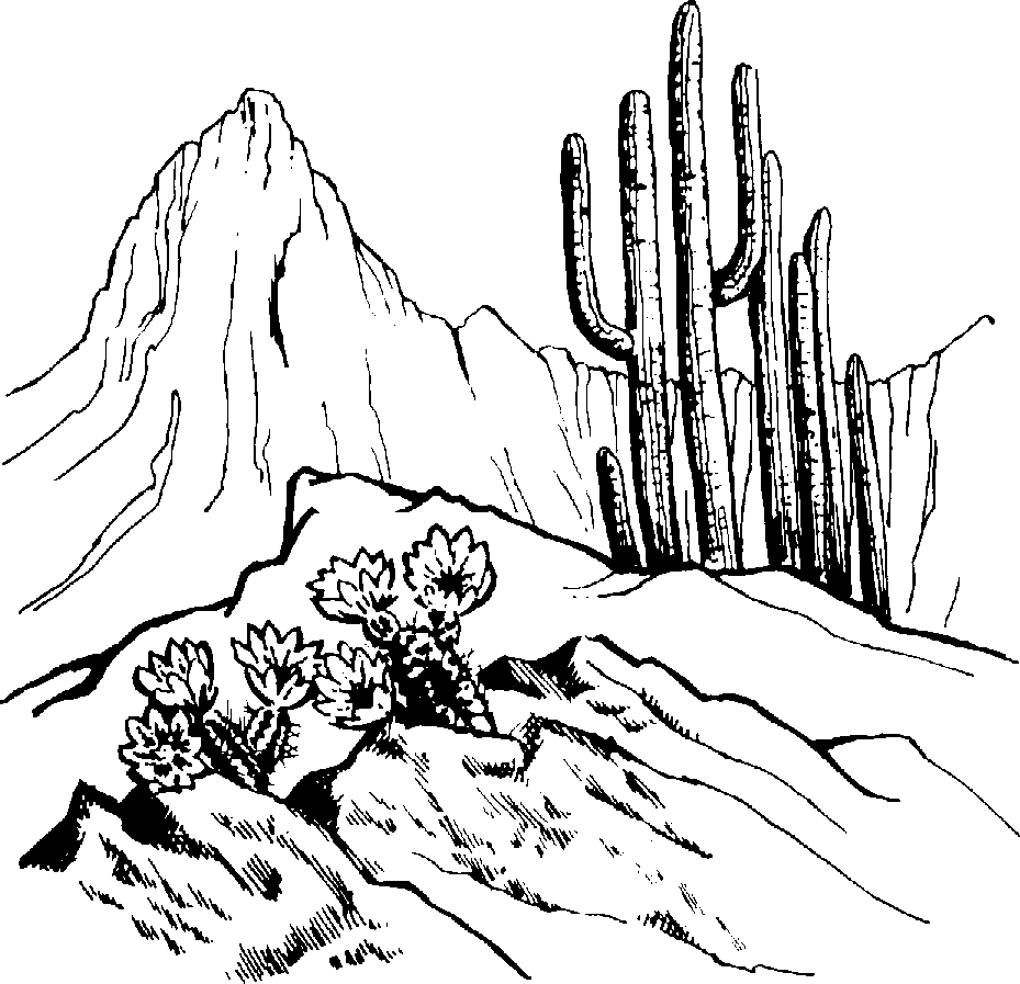 desert clipart black and white png - Clip Art Library