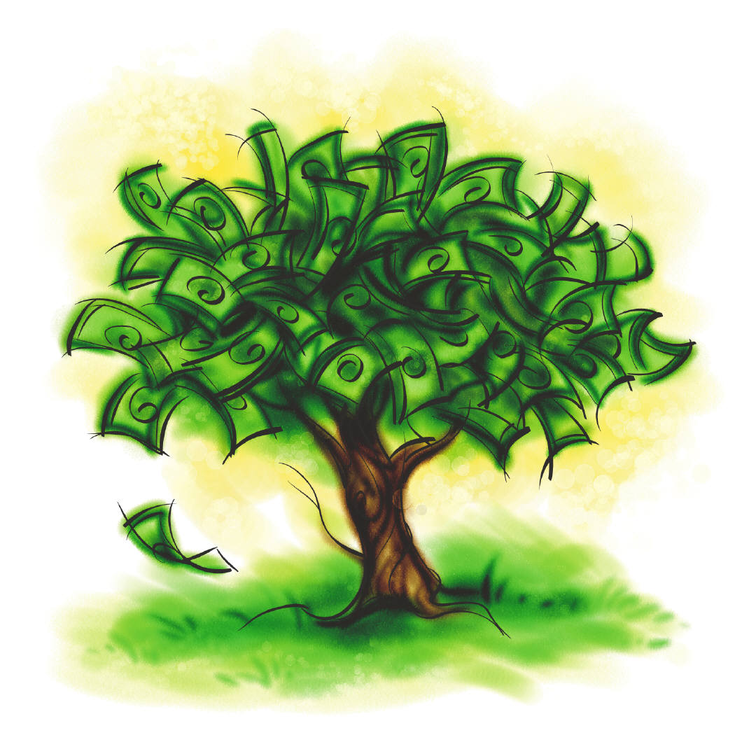 Money Tree Cartoon 