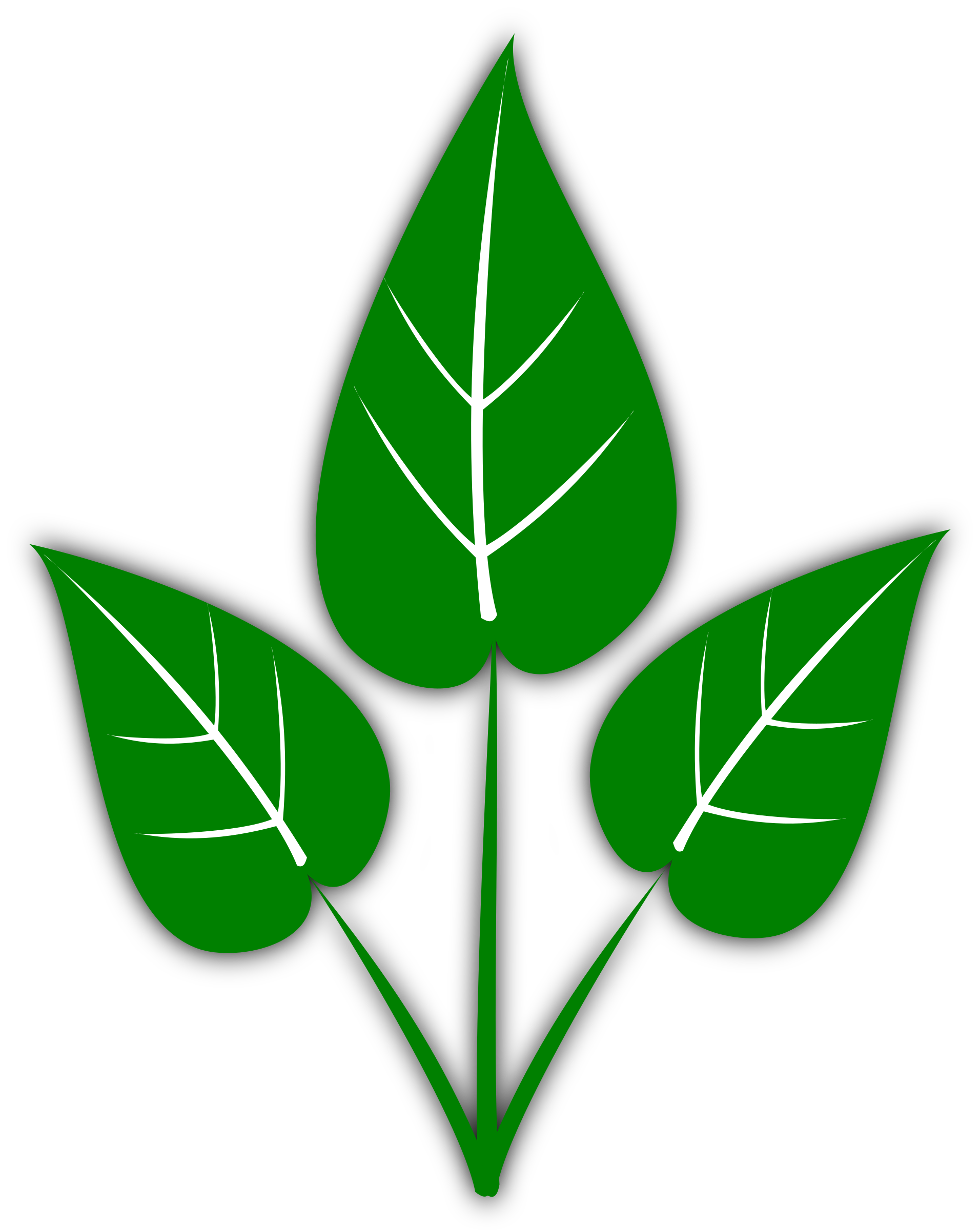 Листочки зеленого цвета. Листья рисунок. Зеленый листик. Символ листа дерева. Листочки растений.