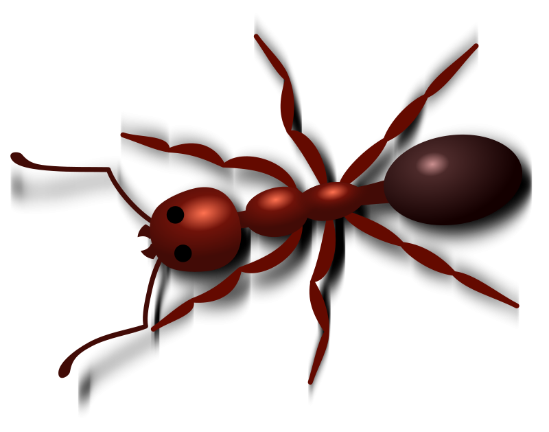 Ant Clipart 