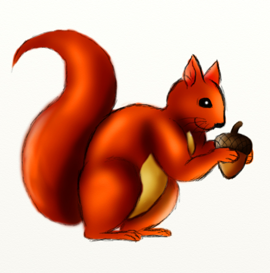 Animated Squirrel Clipart 