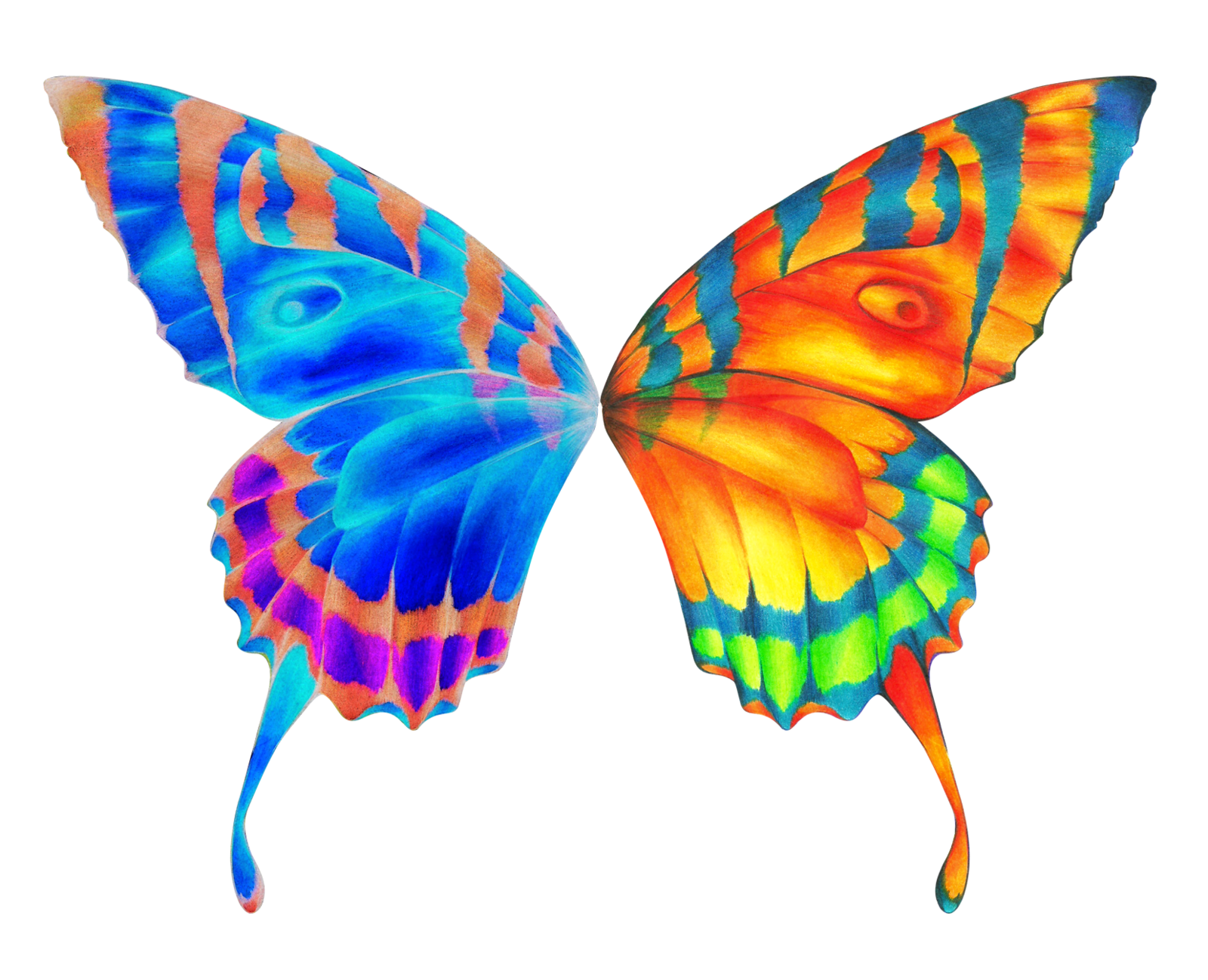 Butterfly wings clipart 
