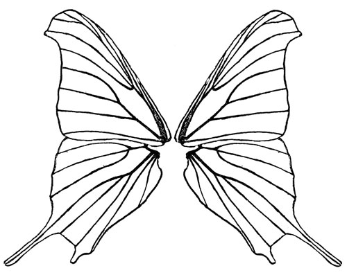 Butterfly Wings Clip Art 