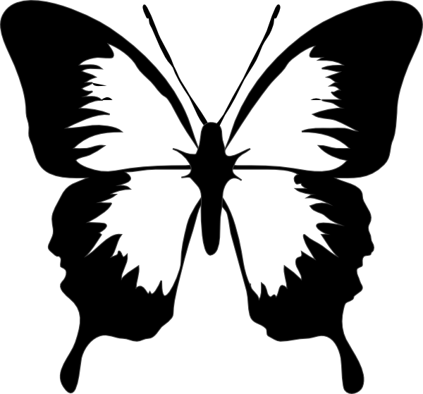 Butterfly wings black and white clipart 