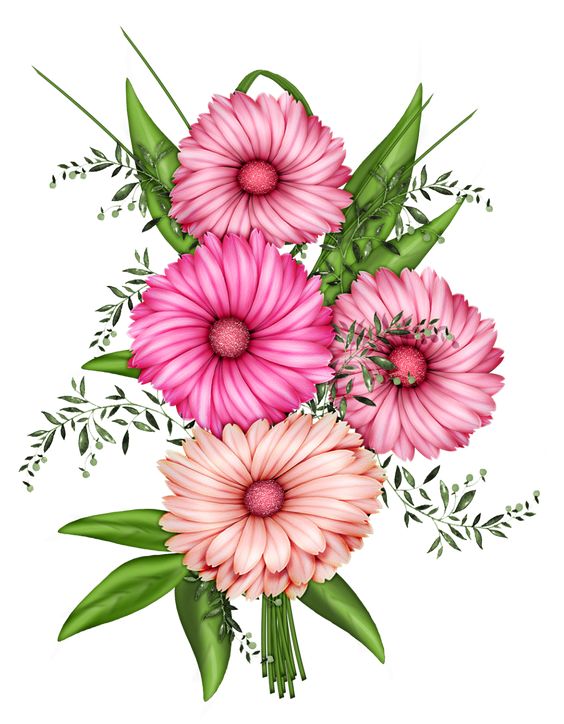 Flowers Transparent PNG Clipart 