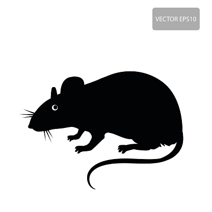 Rat Silhouette Vector 