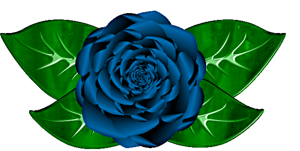 blue rose clip art