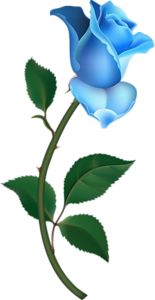 Blue roses clip art 