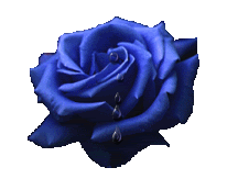 Add a Touch of Romance with Blue Rose Cliparts