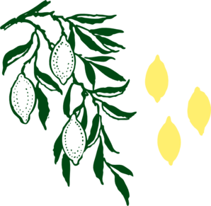 3 Lemons Hanging On A Tree Clip Art at Clker 