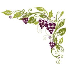 Grape vine border clip art free 