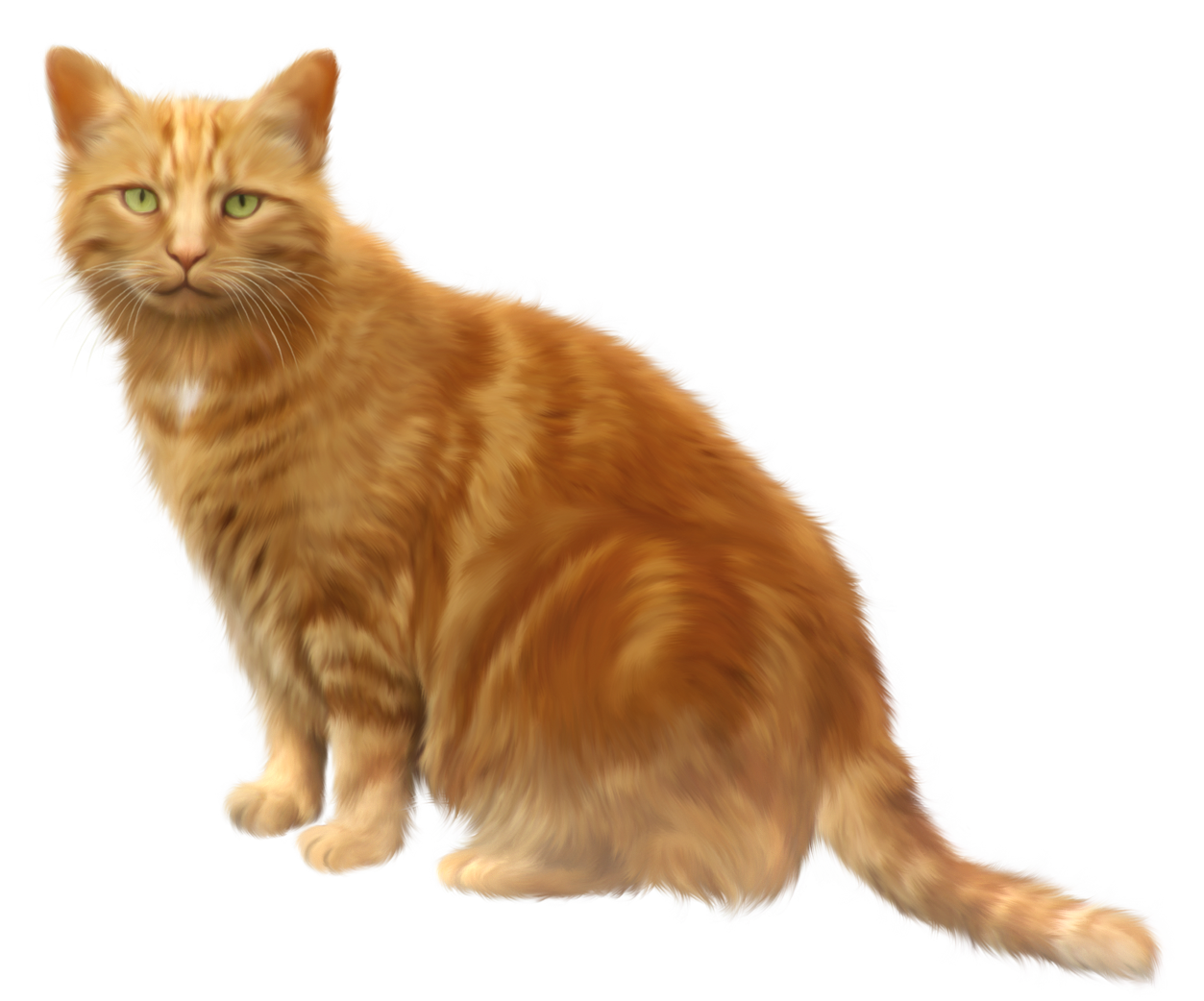 Orange Cat Transparent PNG Clipart 