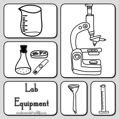 science tools coloring sheets - Clip Art Library
