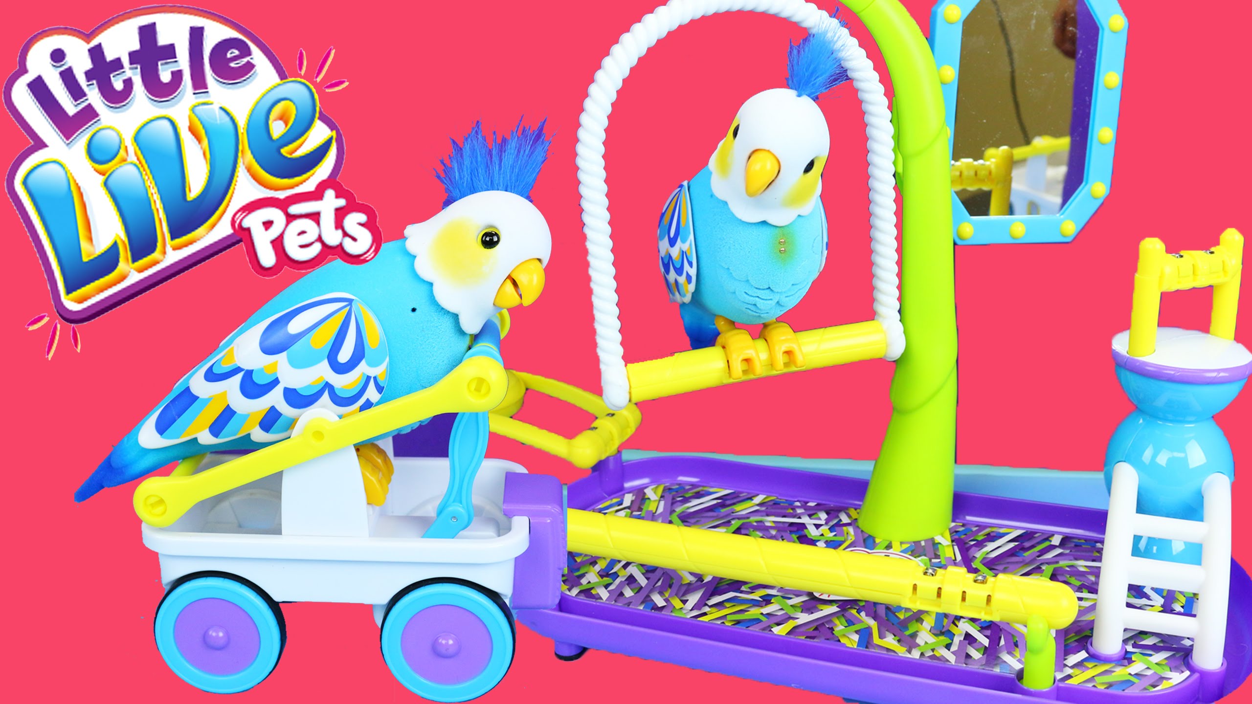 Little Live Pets Parrot Toy | vlr.eng.br