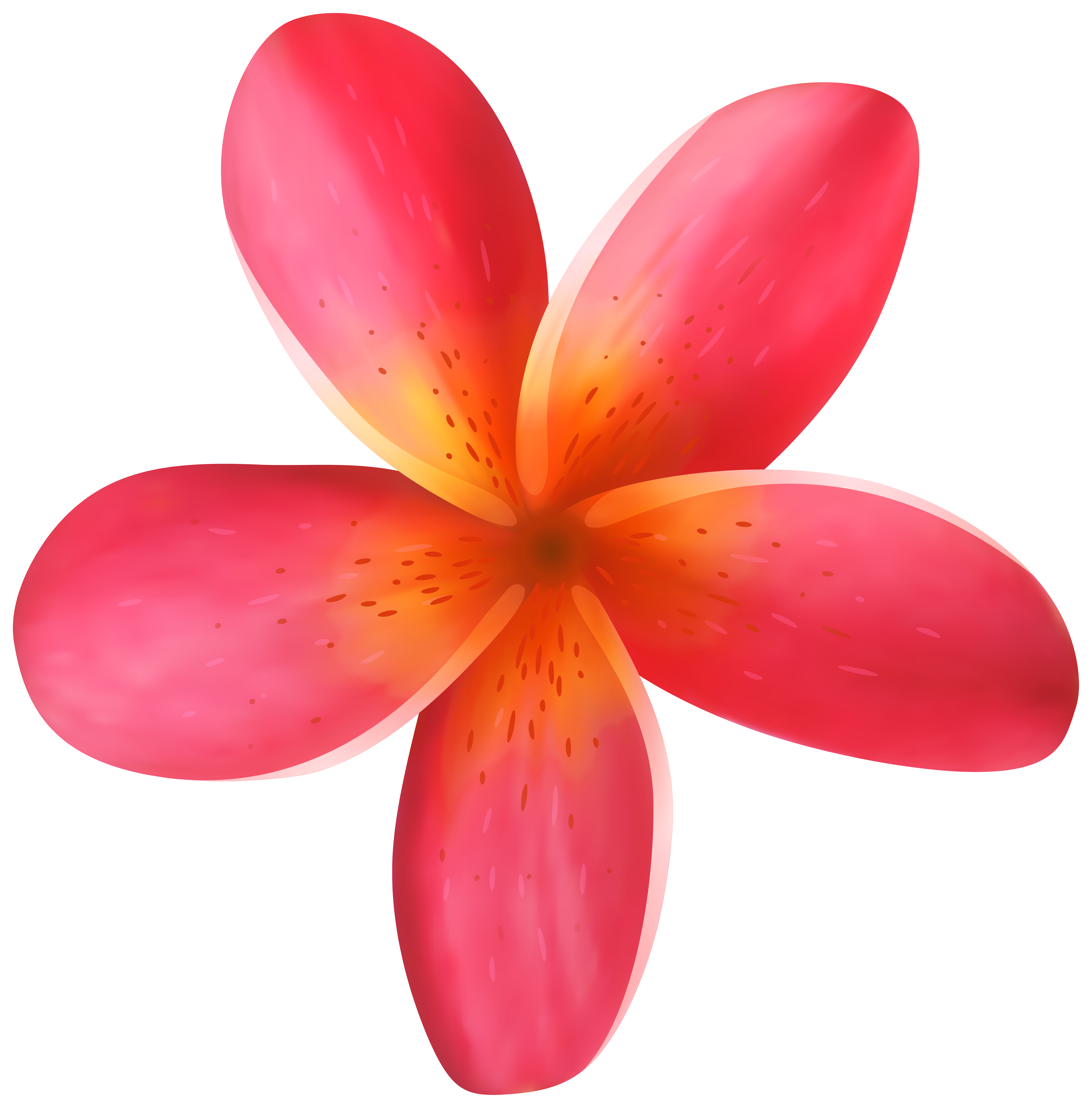 Tropical Flower PNG Clip Art Image 