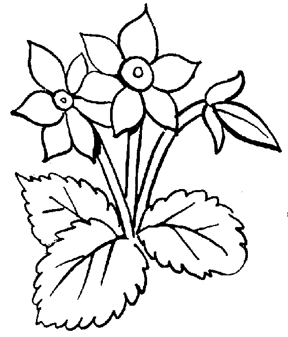 Gray Flower Cliparts