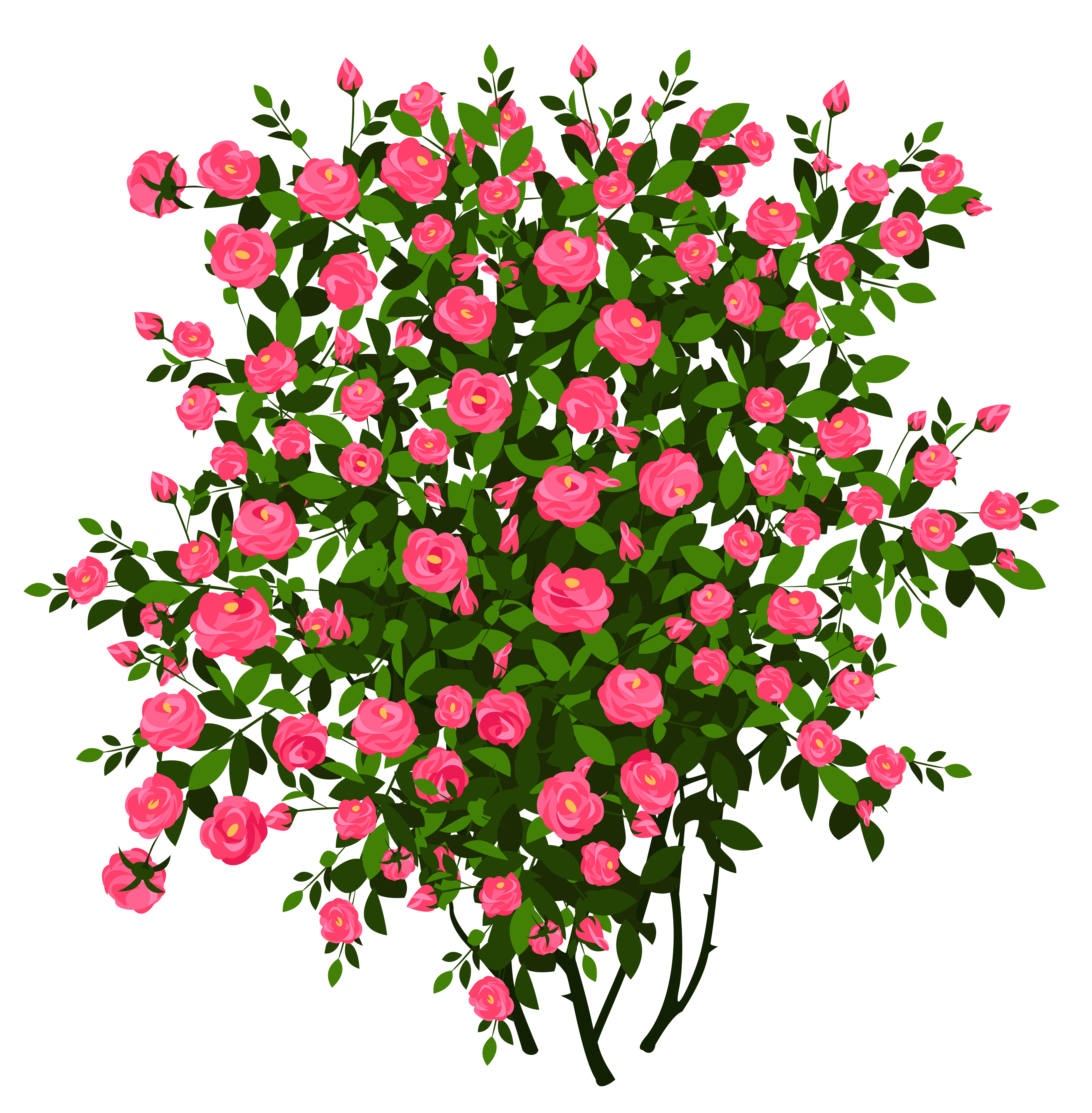 Pink Rose Bush PNG Clipart Picture 