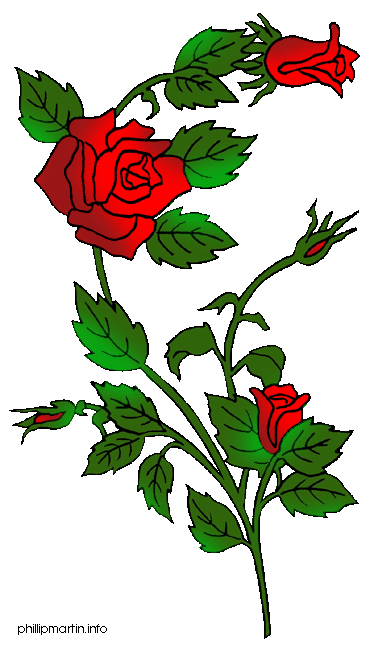 Rose Bush Clipart 