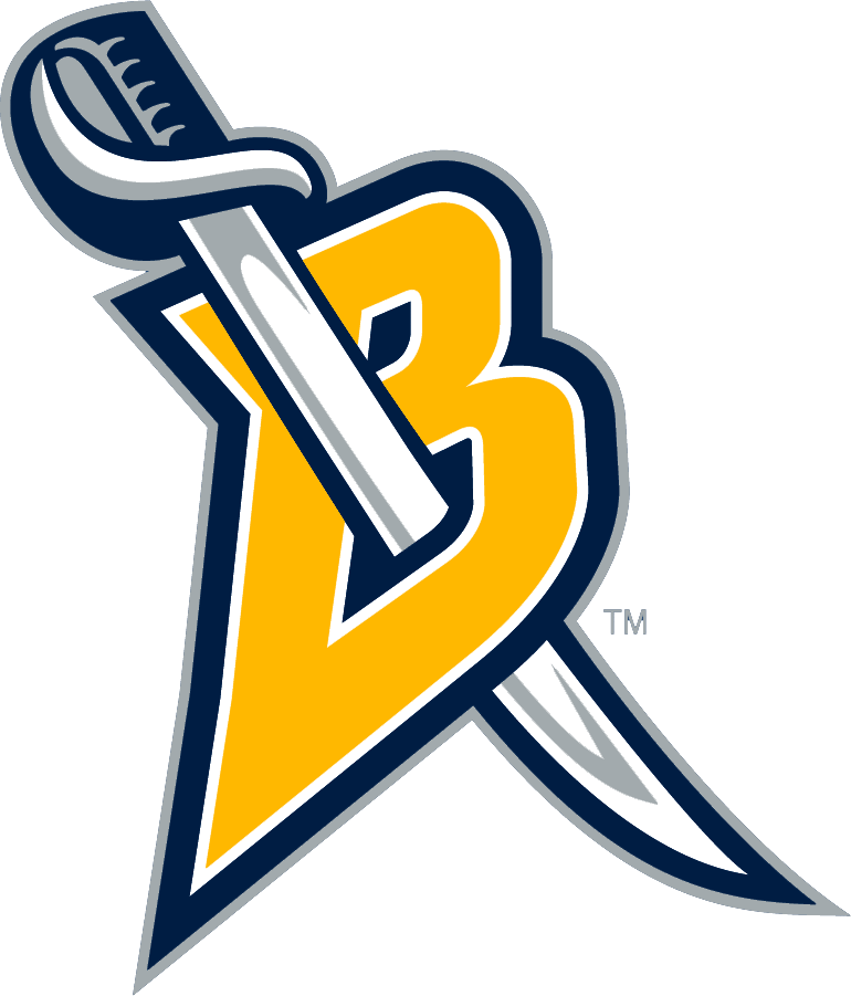 Buffalo Sabres Alternate Logo 