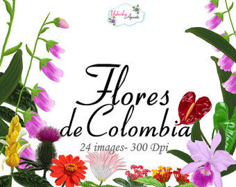 Columbian Orchid Cliparts