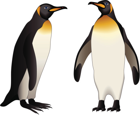 Penguin clip art 