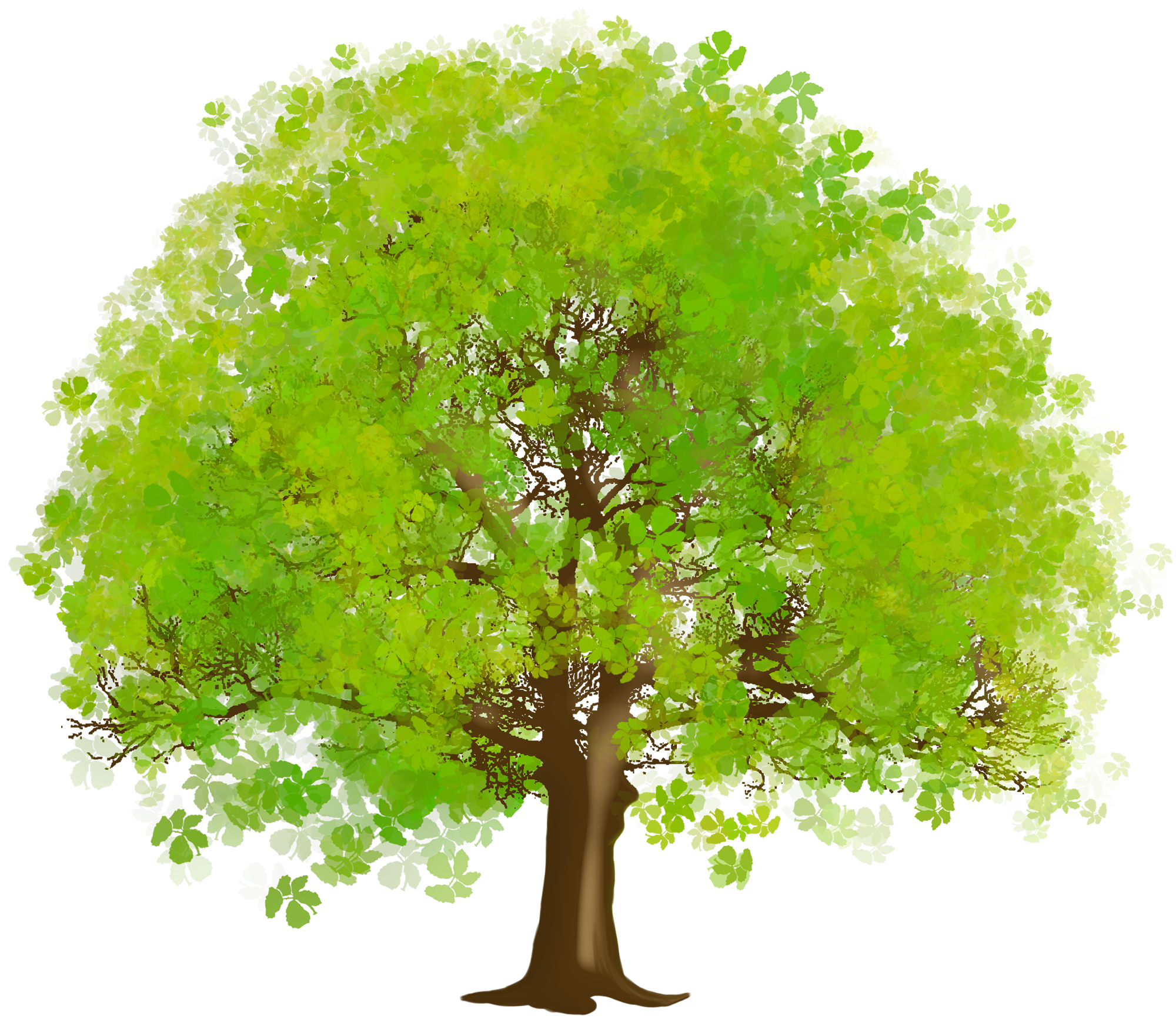 Green Tree PNG Images for Design Projects
