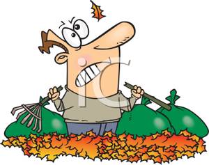 A frustrated man holding a broken rake in a pile leaves 110927 