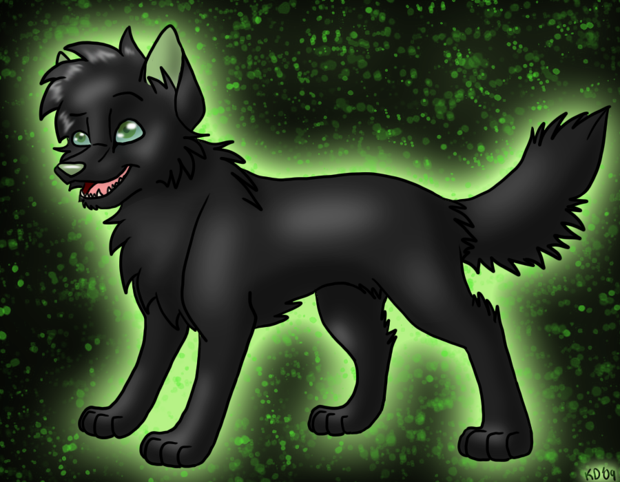 Anime Wolf Pups With Wings  black cat then whats the white dog   Anime  wolf Anime puppy Anime wolf drawing