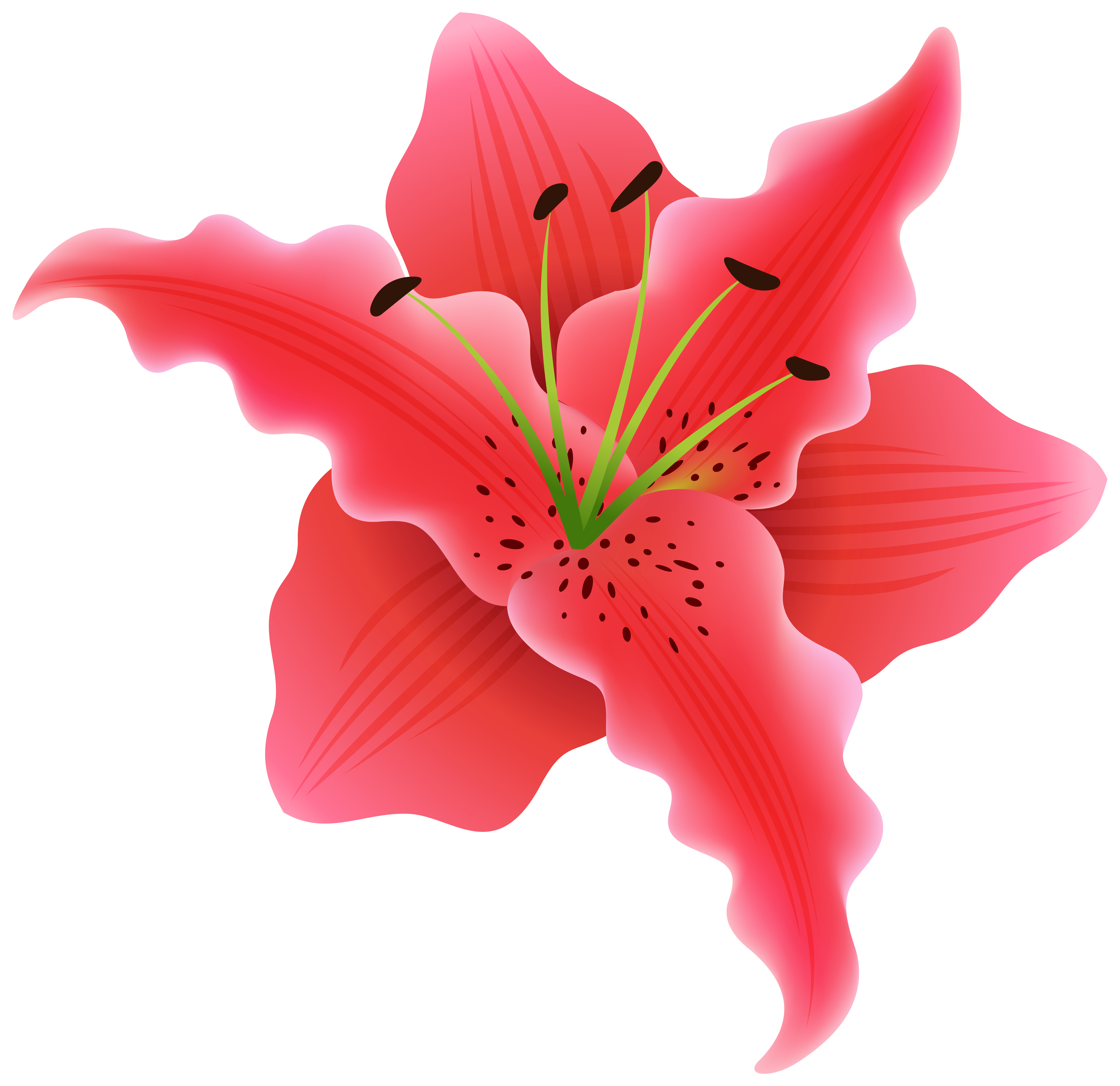 Beautiful Exotic Flower PNG Clipart Image 