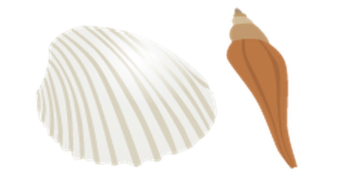 Summer Beach Set 