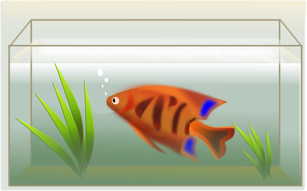 Animated fish tank clipart 