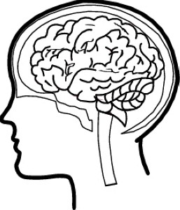 Brain cliparts 