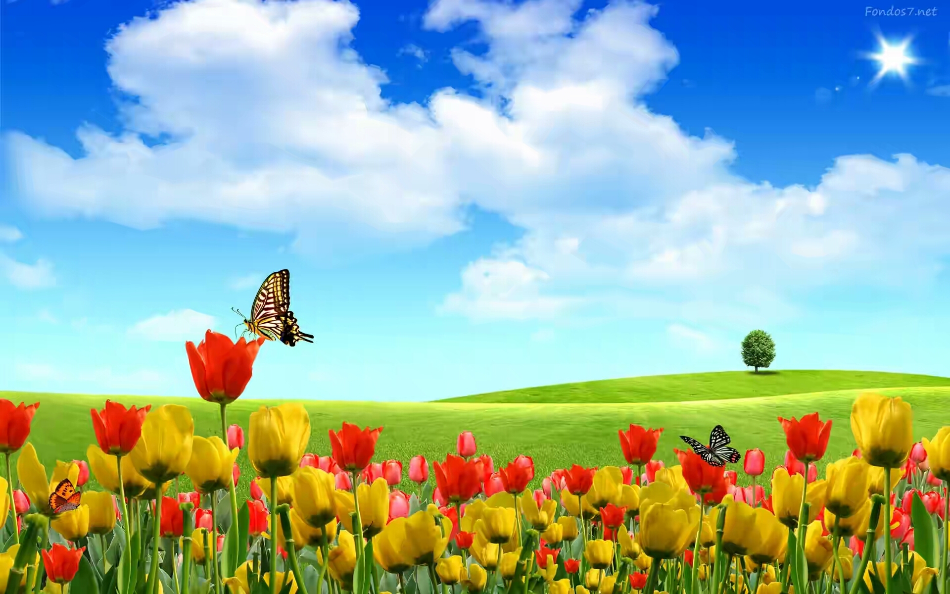 nature flower background hd - Clip Art Library