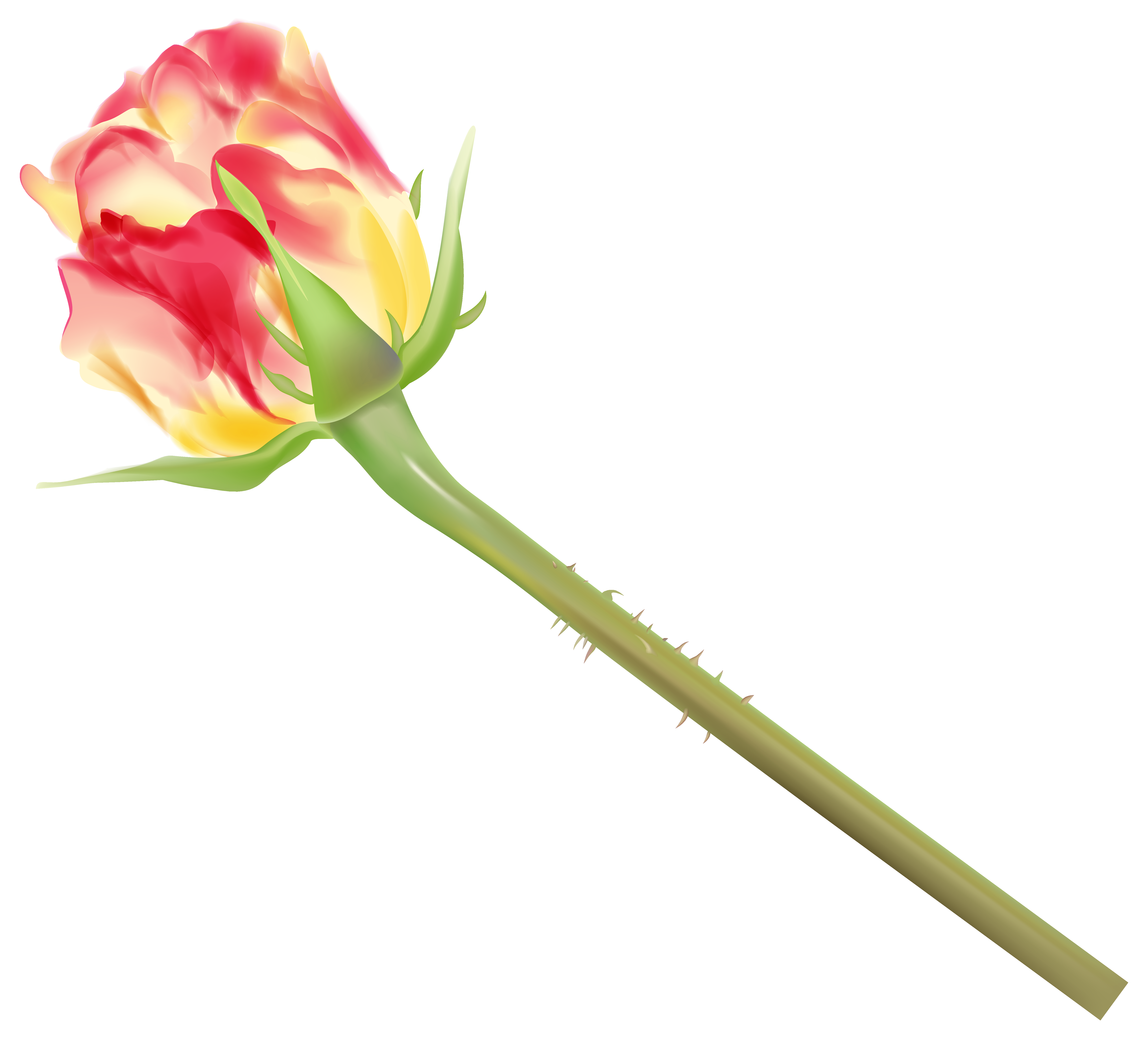 Yellow and Red Rose Bud PNG Clipart Image 