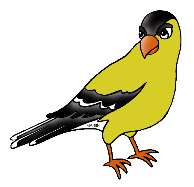 American Goldfinch Clipart - Free Images, Pictures & Illustrations