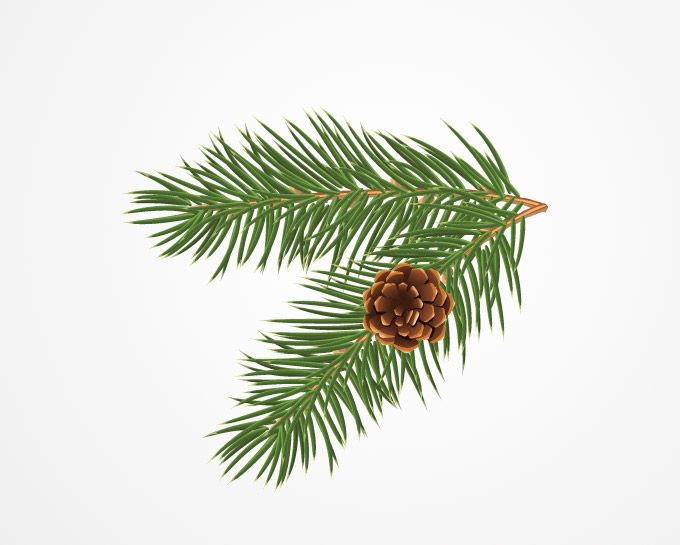 Free pine tree clip art 
