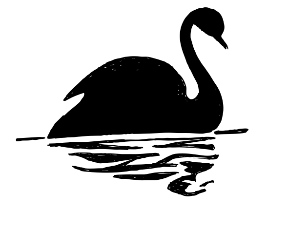Black Swan Silhouette By Konand Black Swan Bird Swimming In The 