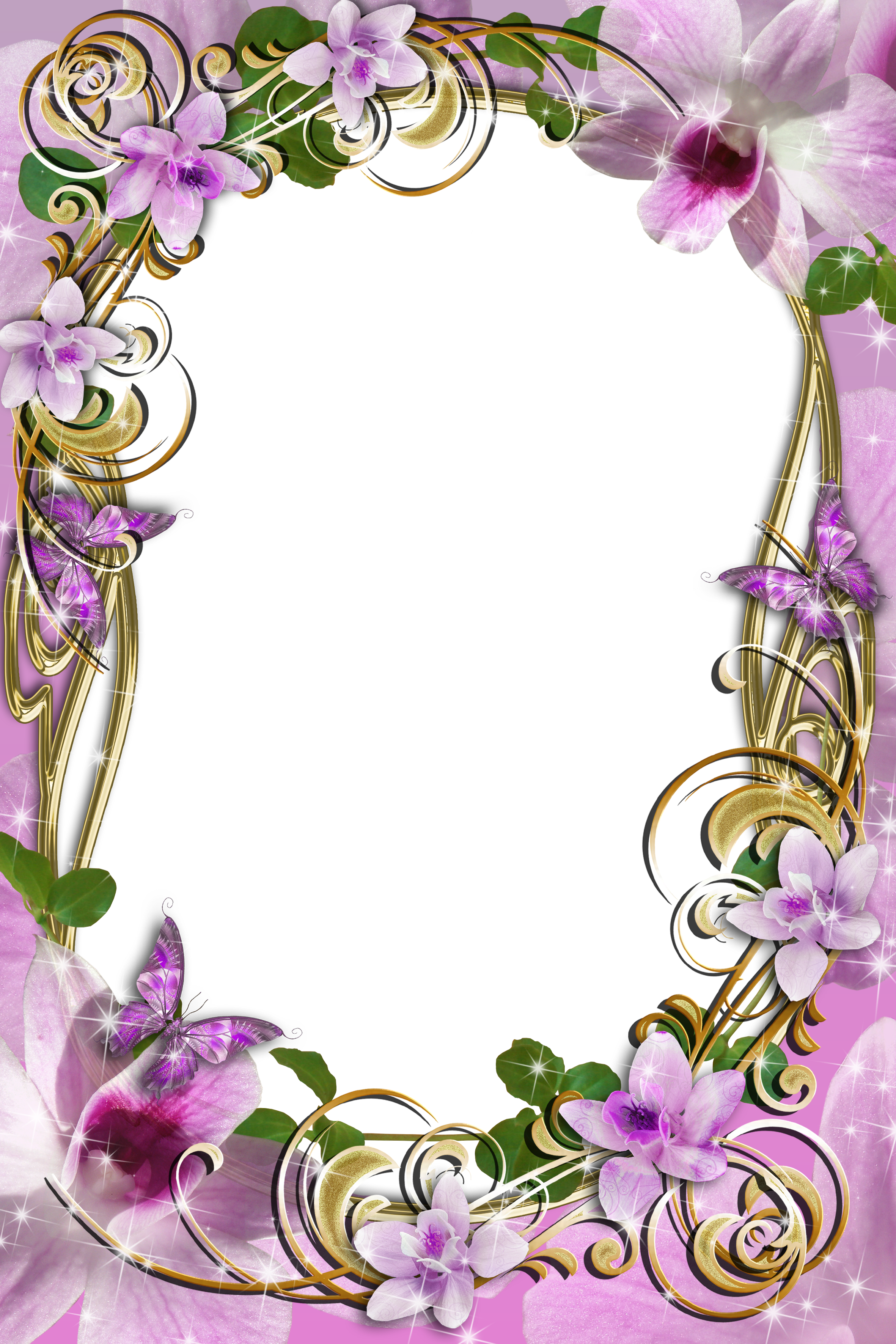 Transparent_Delicate_Frame_with_Flowers.png?m=1420972111 